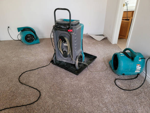 Best Fire Damage Restoration  in Shoemakersville, PA